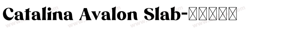Catalina Avalon Slab字体转换
